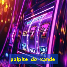 palpite do xande de hoje